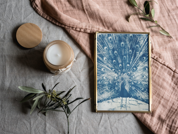 Photo cyanotype d'un paon faisant la roue dans un cadre adapté