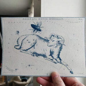 Constellations – 12 illustrations au choix