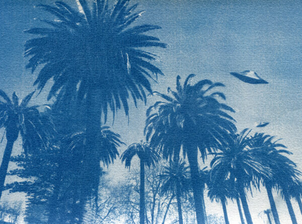 Palmiers photographiés en contre-plongée avec deux soucoupes volantes en arrière-plan ajoutées par collage.