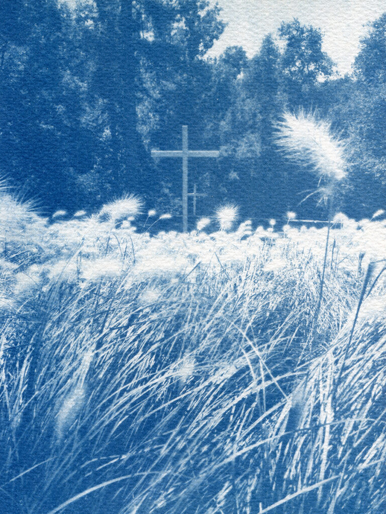 Cyanotype. Croix chrétiennes immenses plantées dans le sol avec un bosquet de chatons au premier plan.