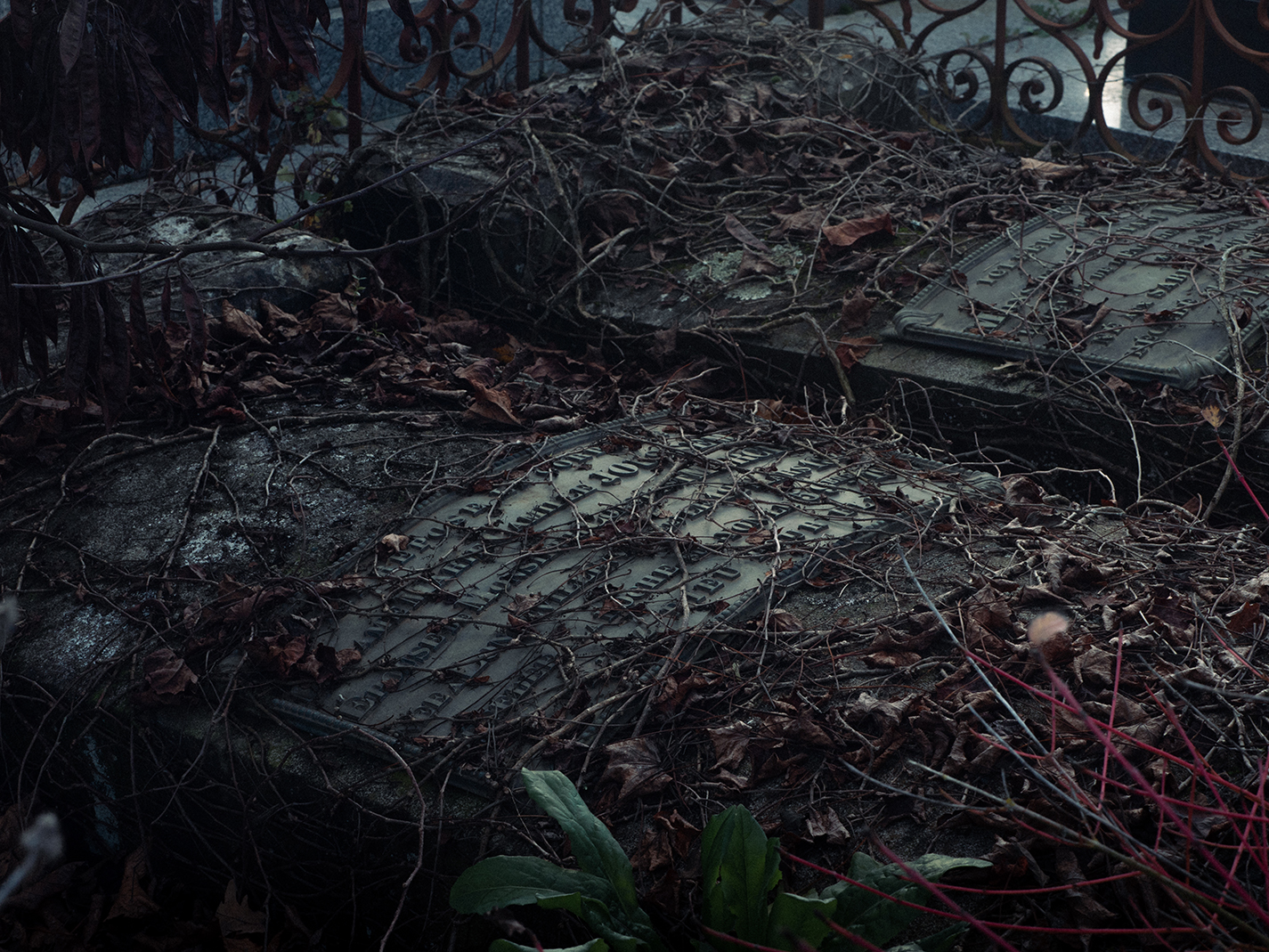 Cimetière du Point du Jour