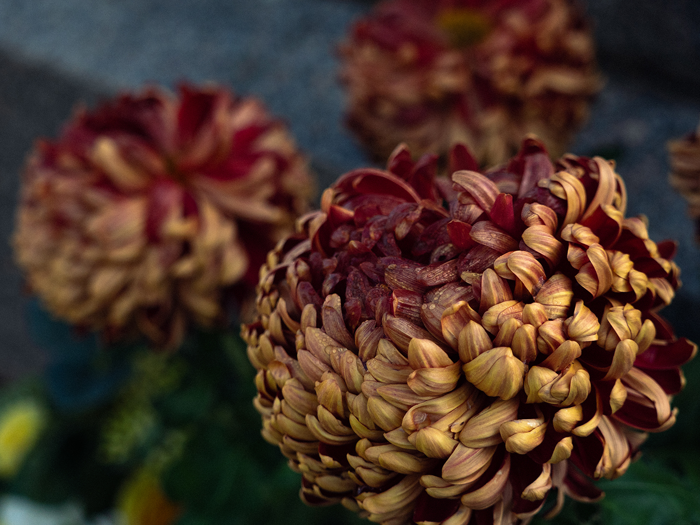 Cimetière du Point du Jour