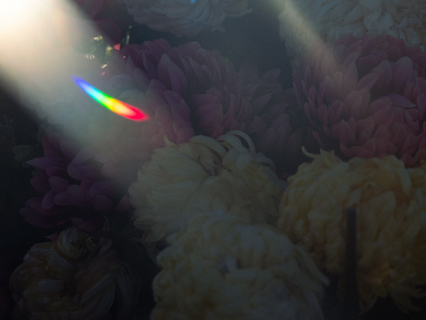 Cimetière du Point du Jour