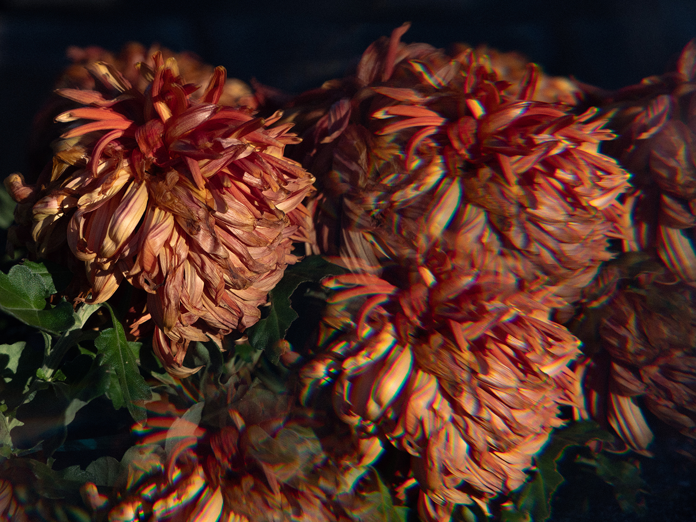 Cimetière du Point du Jour