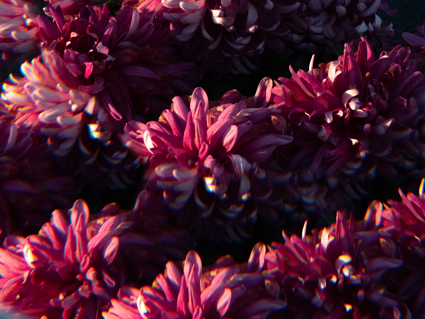 Cimetière du Point du Jour