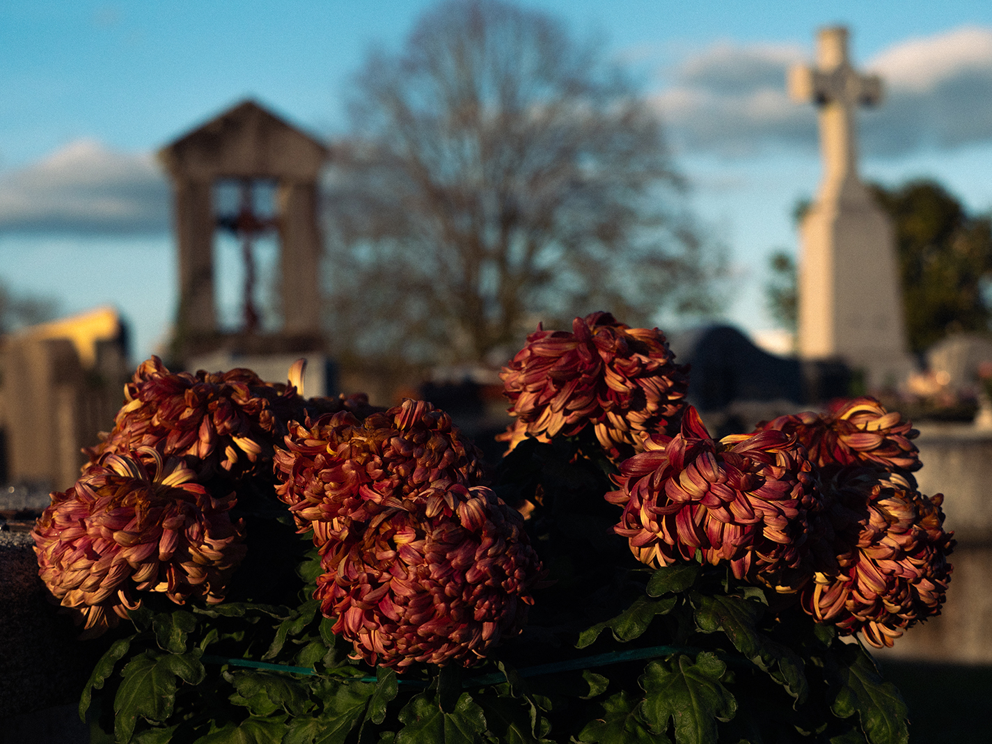 Cimetière du Point du Jour