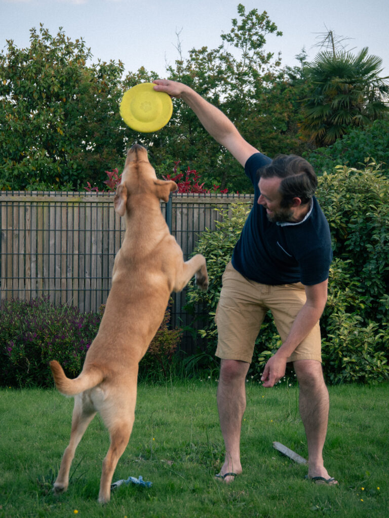Un homme joue avec son chien, un labrador, en lui lançant un frisbee.